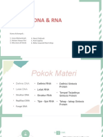 Dna & Rna