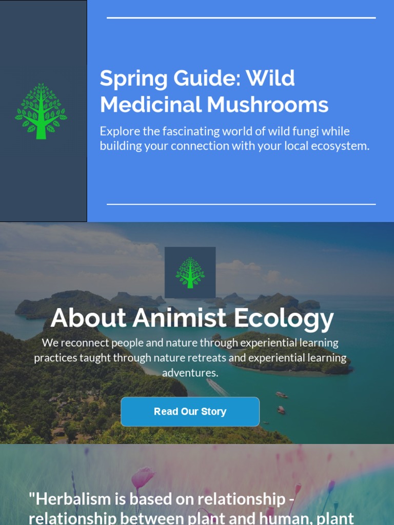 Mushroom identification quick guide to 3 common mushrooms by kyle