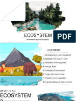 Ecosystem: Presentation by Neelam Pawar