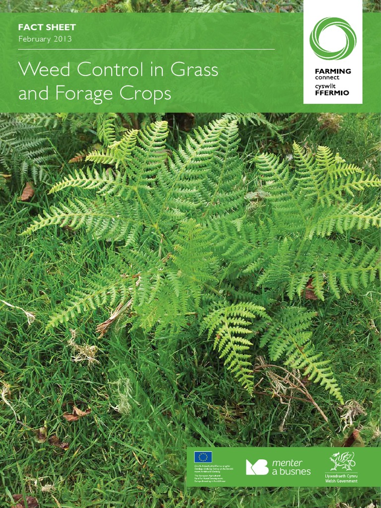 2013 Weed Control in Grass and Forage Crops PDF Agriculture Herbicide