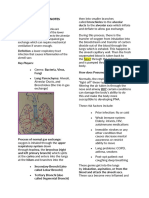 Pneumonia Review Notes