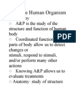 Anatomy and Physiology of the Human Organism