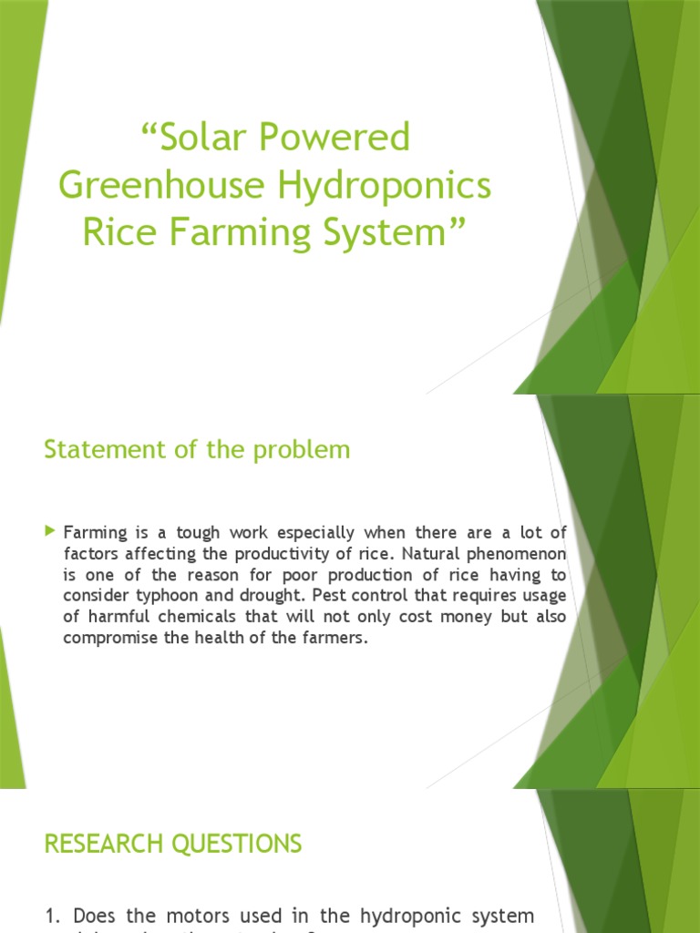 Solar-Powered Hydroponic Rice Farming | PDF | Hydroponics | Rice