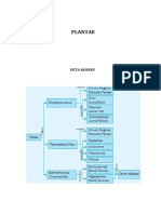 Kelas XDUTA - Biologi - Plantae