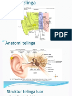 Anatomi Indra Pendengaran Dan Keseimbangan (Dr. Masyita)
