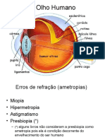 Basico em optica