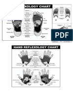 foot reflexology chart 24