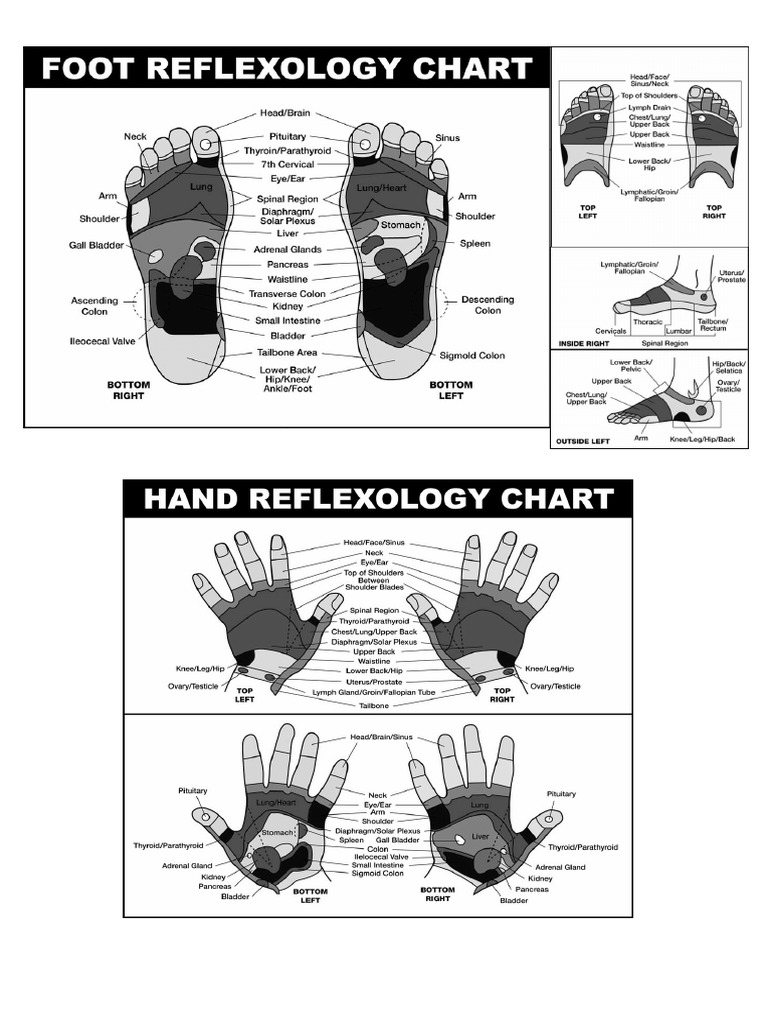 Foot Reflexology Chart 24 PDF