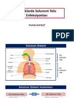 Çocuklarda Solunum Yolu Enfeksiyonları