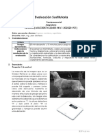 Prueba Desarrollo Examen Sustitutorio 22405