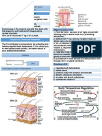 Integumentary System 1