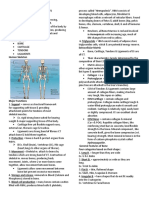 Skeletal System