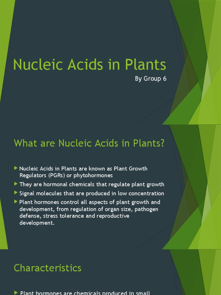 GROUP 6 Nucleic Acids in Plants PDF Plant Hormone Auxin