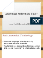 Anatomical Position and Cavity