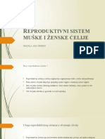 Reproduktivni Sistem Muške i Ženske Ćelije