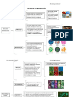 HISTORIA DE LA MICROBIOLOGÍA-Tarea N°1