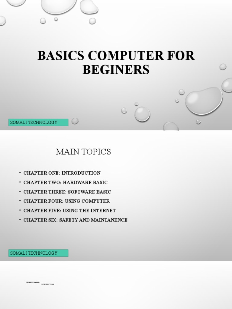 Basics Computer For Beginerspp | PDF
