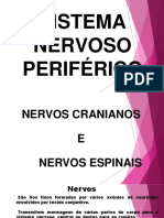 Nervos Cranianos em