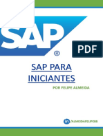 Sap Iniciante Modulo II