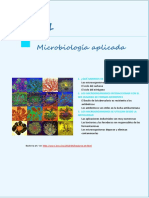 Tema 21. Microbiología Aplicada_mio