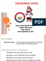Muscles System Hector Rolando Rios