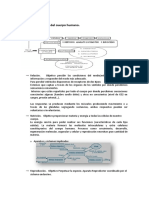 Tema 2 y 3. Organización Básica Del Cuerpo Humano y Términos Anatómicos