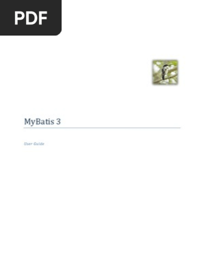 Mybatis 3 User Guide Method Computer Programming Data Type