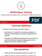 Examining The Anterior Wall - Isuog Lecture Cusp 2018.PDF Main