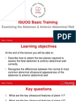 ISUOG Basic Training: Assessing the Fetal Abdomen