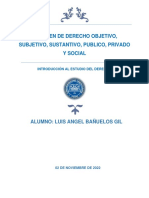 Resumen de Derecho Objetivo, Subjetivo, Sustantivo, Publico, Privado y Social