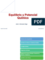 Potencial Qu Mico y Equilibrio