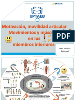 Mandala Movilidad, Músculos de Los Miembros Inferiores.