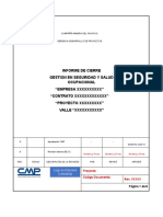 Informe cierre SSO proyecto minero