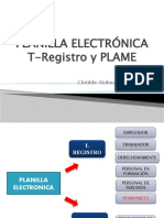 PLANILLA ELECTRÓNICA - oct 2022