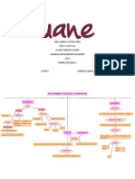 Mapa Conceptual