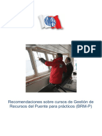 Recomendaciones Sobre Cursos de Gestión de Recursos Del Puente para Prácticos (BRM-P)
