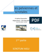 Urgences Pelviennes Et Scrotales 2016 Chaumoitre