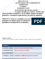 Plagas de insectos en alimentos