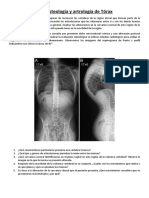 ABP Osteologia y Artrologia de Torax