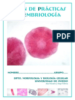 Guión de Prácticas de Embriología