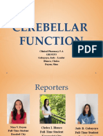 Cerebellar Function