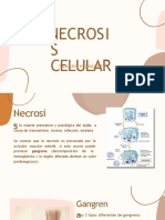 Necrosis Celular CM