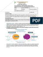 Examen Del Primer Quimestre Biologia