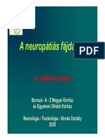 A Neuropátiás Fájdalom - Valikovics Attila2020