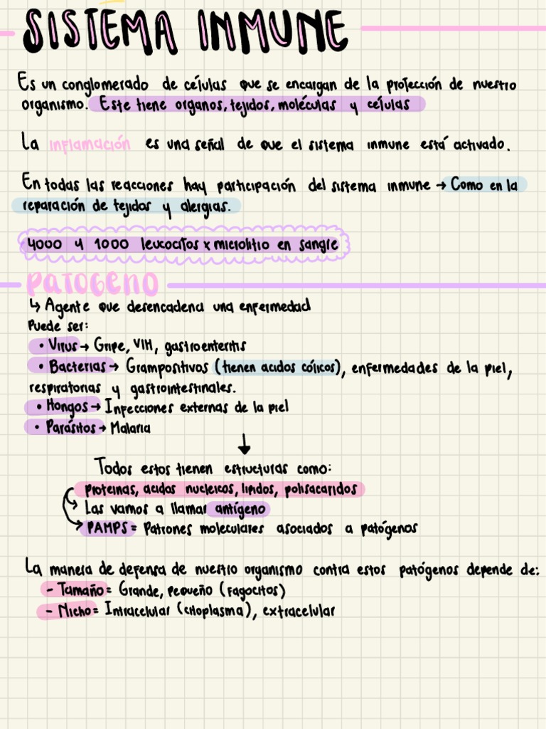 Funciones del Sistema Inmune Humano | PDF | Sistema inmune | Inflamación