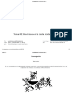 Tema 08 - Mochicas en La Costa Norte (Parte I)