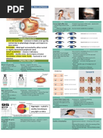 Health Assessment (Eye, Ear, Mouth, Throat, Nose and Sinuses)