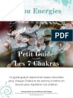 Les 7 Chakras Petit Guide