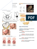 The 4Ps of Labor: Passenger, Passageway, Powers, and Placenta