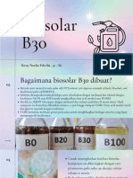 Biosolar B30